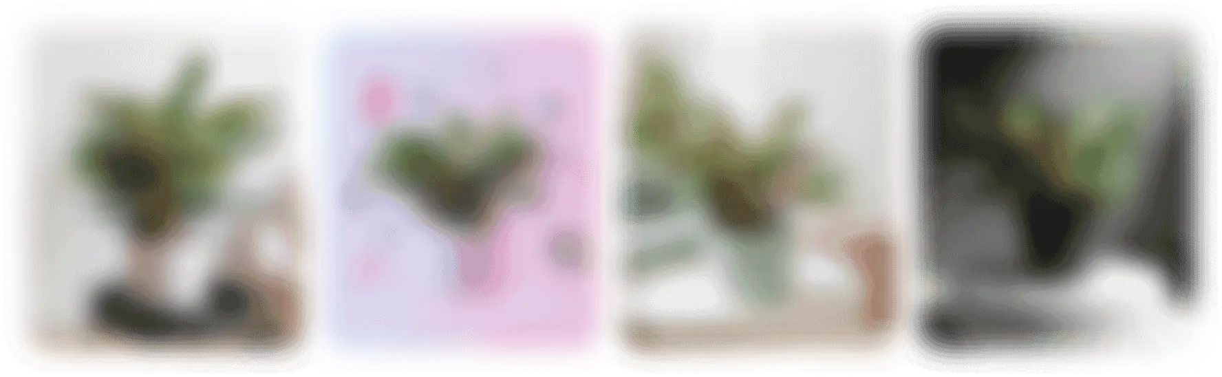 Develop Plant-Specific AI Model